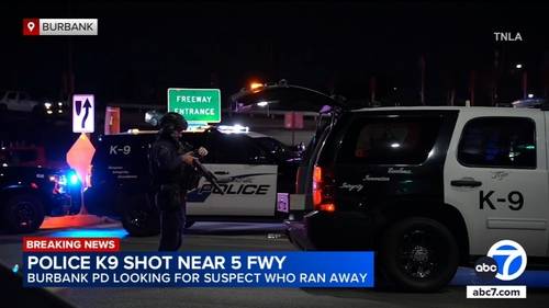 Burbank police dog shot near 5 Freeway during traffic stop; suspect search underway