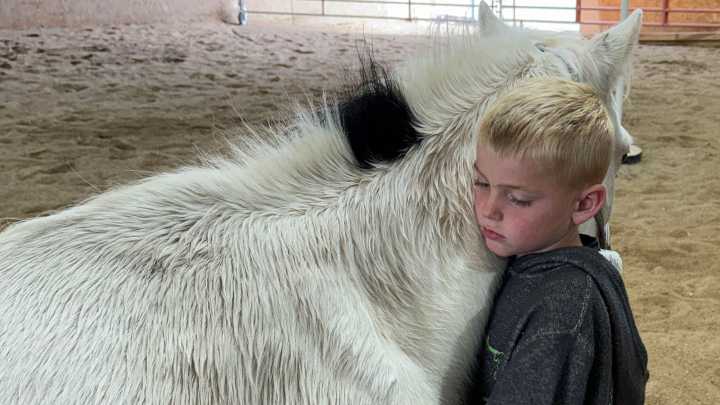 Horses In Wyoming's Only Dual-Therapy Center Are Healing For Veterans And Kids