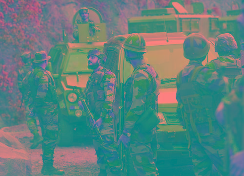 J&K: Search Op Intensified to Flush Out Terrorists in Kishtwar Forests