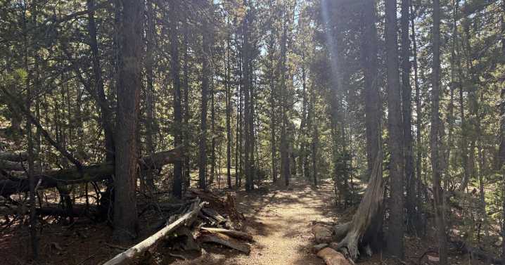 Skip Black Friday this year and head to one of Colorado’s 43 state parks for free instead