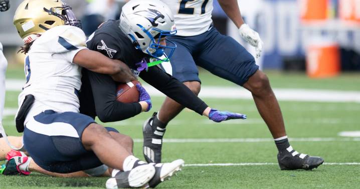 Saturday's area college football: Cougars romp on Senior Day