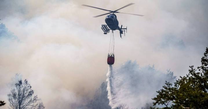 Incendios forestales: diputados dieron despacho a la nueva Ley de Manejo de Fuego de Neuquén