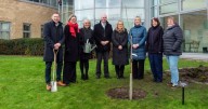 First Sycamore Gap tree sapling planted in Northumberland and another North East spot