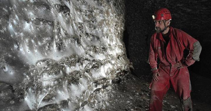 Watch: World's largest spiderweb with over 110,000 spiders