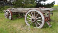 Mennonite Man Finally Puts on His Winter Tires