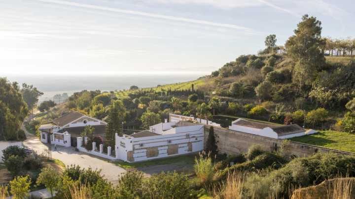 Esta es la experiencia que solo puedes vivir en Carmona: donde la historia romana se mezcla con aromas botánicos