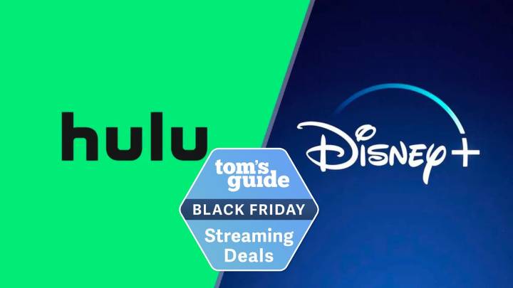 Hulu and Disney Plus Black Friday deal is too good to miss
