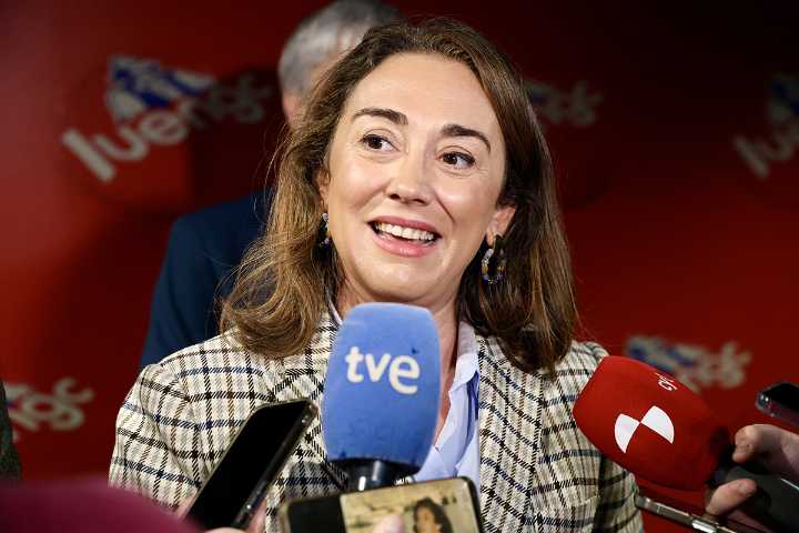 Castilla y León no registra ningún nuevo foco de gripe aviar desde hace un mes