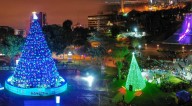 Circuito Mágico del Agua encenderá su árbol navideño 2025: cuándo será, horario y precio de entradas