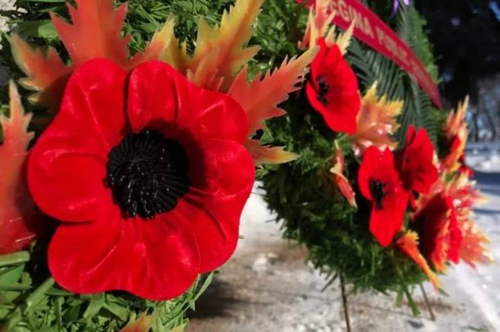 Petition calls on Ottawa to establish review board to reassess veterans’ acts of valour