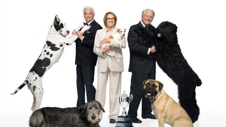 2025 National Dog Show: How to Watch & Stream on Thanksgiving