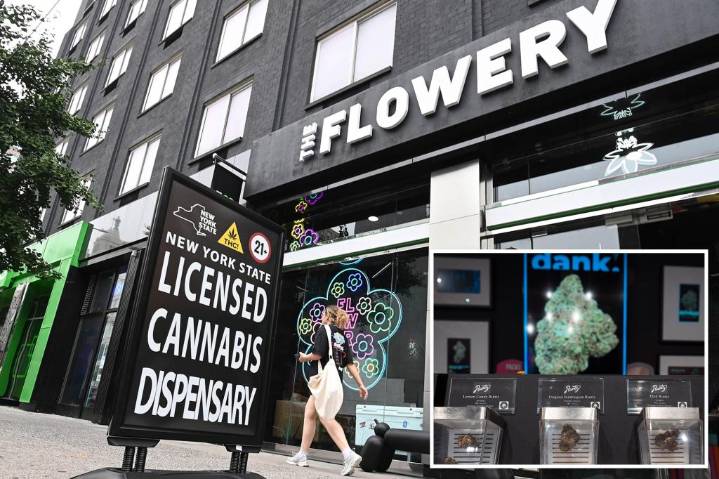 Marijuana prices plummet in NY as legal market ramps up