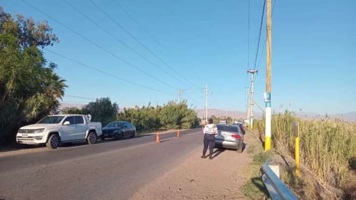 Fiesta de Halloween terminó con más de una decena de personas detenidas