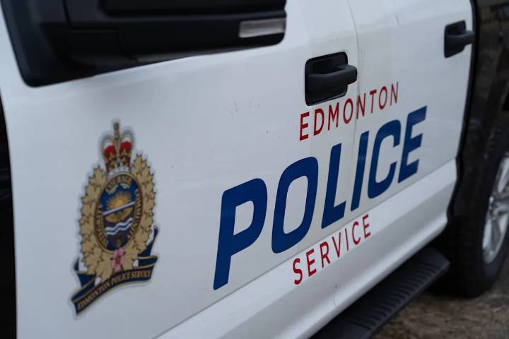 Pedestrian killed while walking dog marks Edmonton's 30th traffic fatality of 2025: police