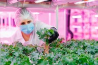 ¿Qué aportará la Universidad de Guanajuato al debate sobre sostenibilidad?