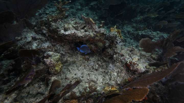 Why hurricane flooding is about to get even more dangerous in Florida