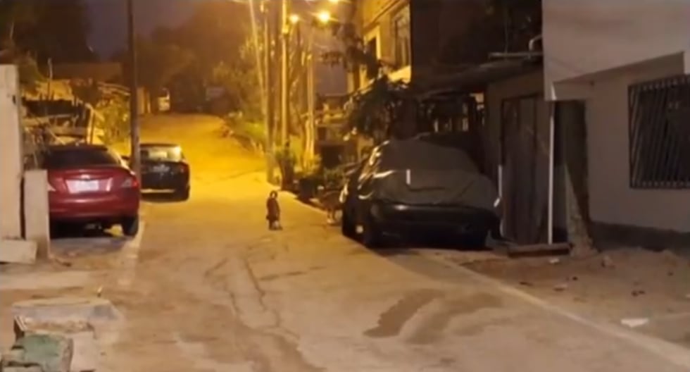 Asesinato en Manchay: dos hombres mueren a balazos durante el estado de emergencia