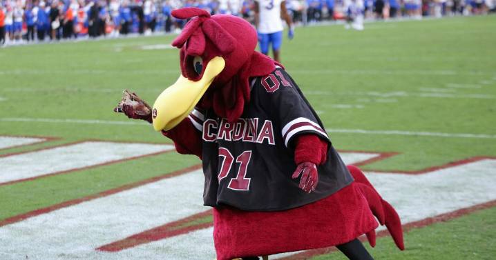 College football mascots just as good at keeping their identities secret as firing up a crowd