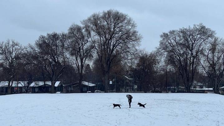 Farmers' Almanac ending in 2026. What's its last NV winter prediction?