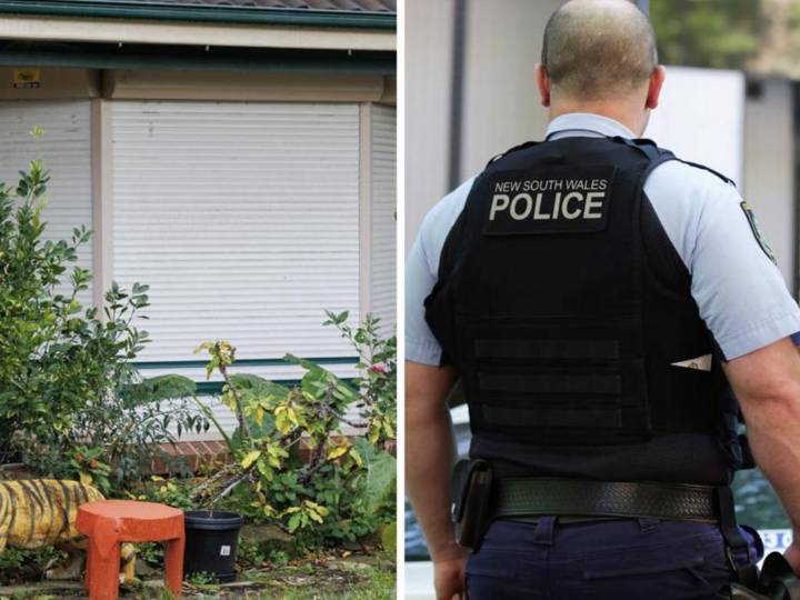 Chilling detail in peeping man’s arrest