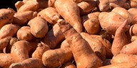 Free sweet potatoes ahead of Thanksgiving in Pickens County