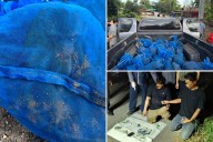 Two men caught with 81 monkeys, meth in Thailand wildlife smuggling ring, authorities say