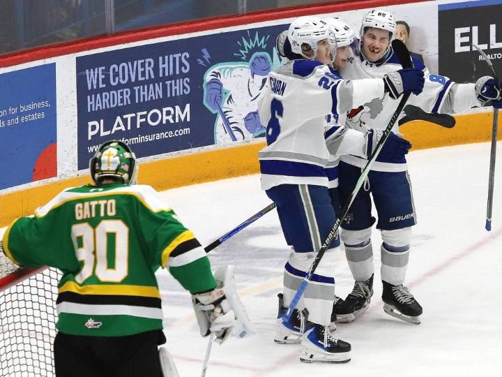 Bjorn Bronas shines in OHL debut as Sudbury Wolves beat London Knights