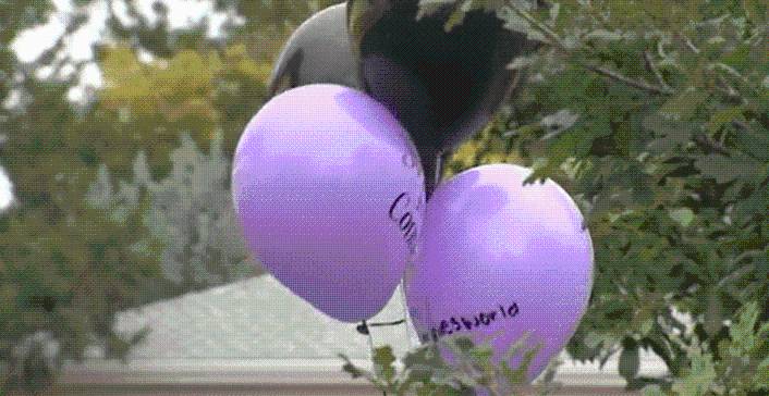 Wheat Ridge 'suspicious' death involved no foul play