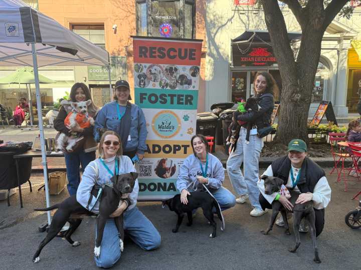 Montague Diner sponsors a dog lover’s Halloween event