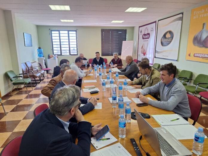 La Mesa del Ajo advierte de mermas en la producción de hasta el 40% por las elevadas temperaturas