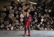 La madera, una opción cada vez más demandada