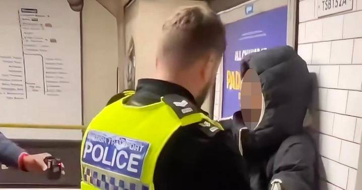 Martial arts champ who restrained alleged thief on train says it was 'natural reaction'