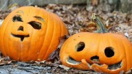 Eco-friendly ways to dispose of pumpkins