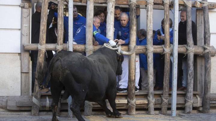 Así ha sido la "embolà" del bou de la Puríssima de Ontinyent
