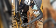 ‘A miracle’: Tree traps man inside a machine, misses him by inches