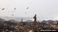 ‘Leachate, unprocessed waste’: CPCC affidavit mentions ‘mismanagement’ at Dadumajra dumping site