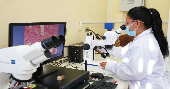 Más de 67 mil servicios tecnológicos impulsan la innovación y competitividad de las MIPYME a nivel nacional