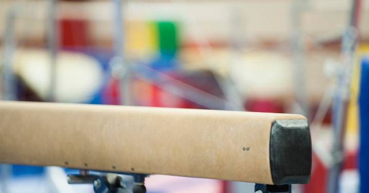 Money meant for Lakeville gymnastics programs embezzled from booster club, charges say