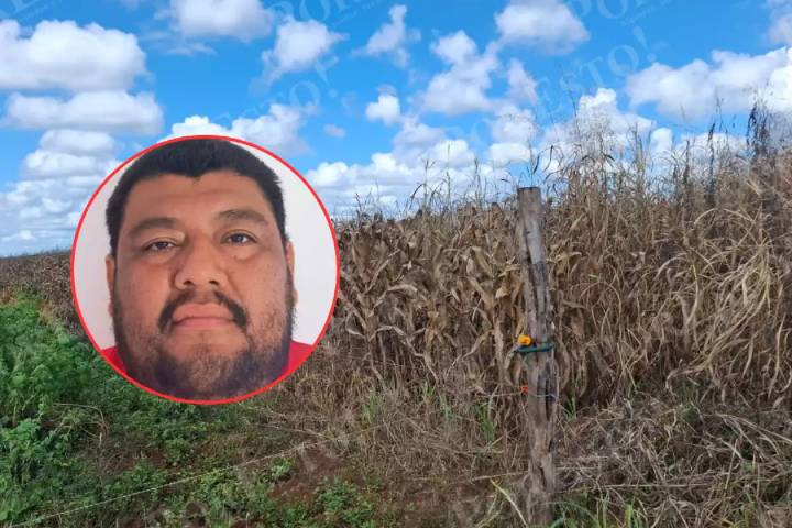 Campesinos de Chilib, Tenabo, piden precio justo del maíz para salvar la cosecha 2025