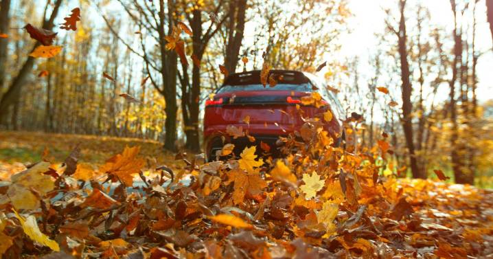 Drivers urged to do easy task before driving in autumn to avoid expensive damage