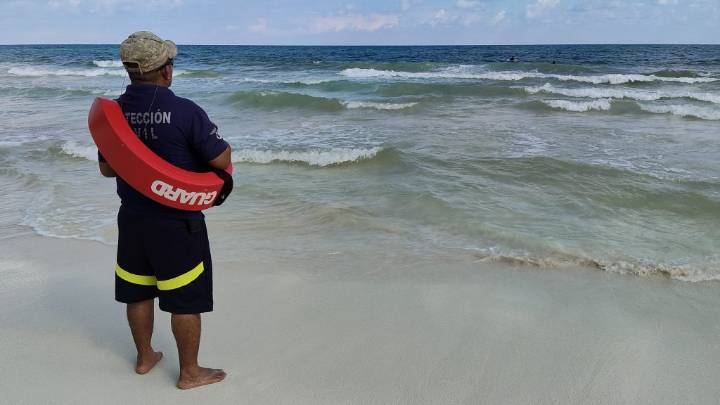 Protección Civil descarta presencia de tiburones gato en costas de Tulum