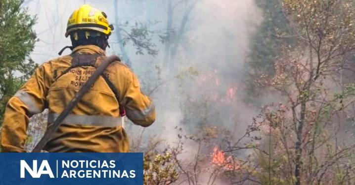 Contuvieron en un 80 por ciento el incendio que se había originado en Epuyén