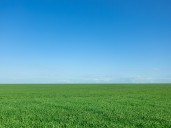 11/26/25: Clear Sky and Mild in Dickson County, High 59, Low 38