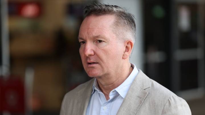 Prime Minister Anthony Albanese urged to dump 'part-time Energy Minister' Chris Bowen over potential COP31 appointment