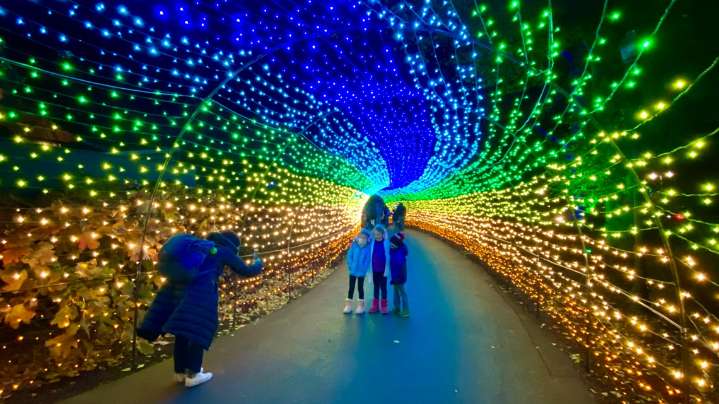 Franklin Park Conservatory dazzles for the holidays with Conservatory Aglow, Holiday Blooms exhibits