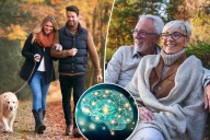 Like Taylor Swift, our brains undergo major eras at these 4 ages