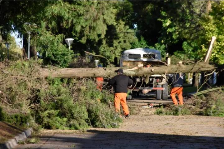 Temporal en Crespo: qué daños provocó la tormenta y cómo avanzan los trabajos de emergencia