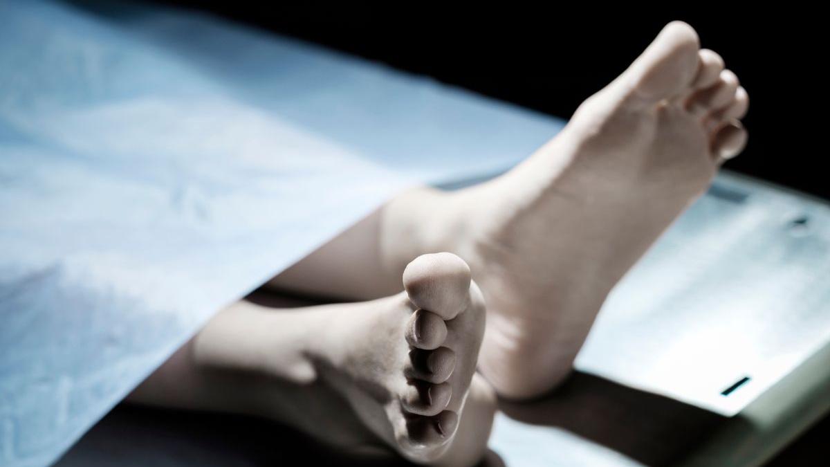 Kolkata woman sets herself on fire, dies; family alleges SIR anxiety