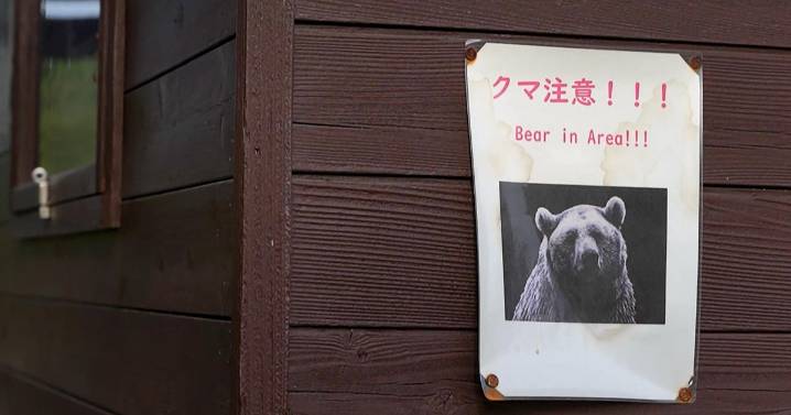 U.S. issues unusual warning to Americans in Japan: Beware of bear attacks