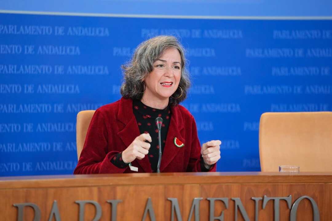 Adelante pide que Moreno dé explicaciones en la Cámara por el caso mascarillas